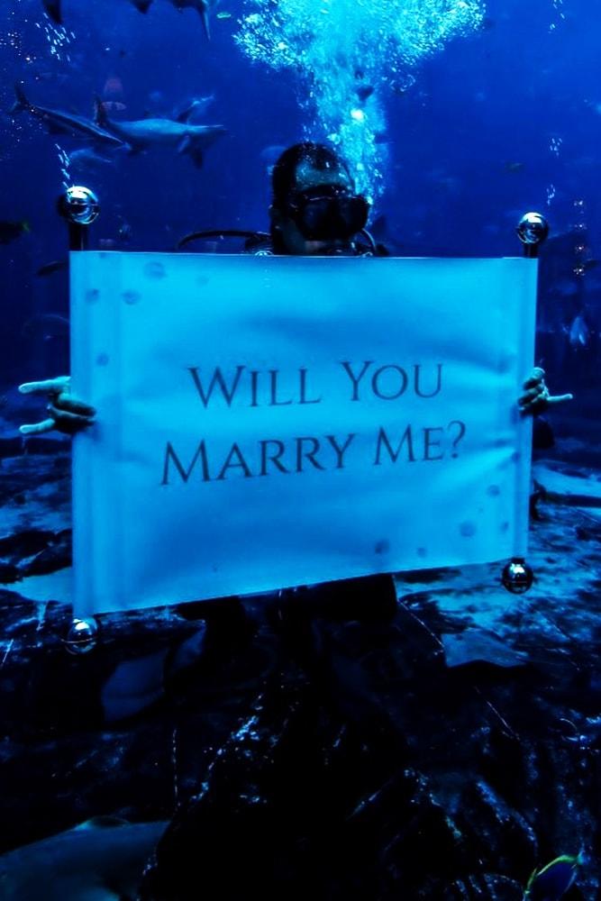 Beach Proposal Ideas Underwater Proposal Will You Marry Me