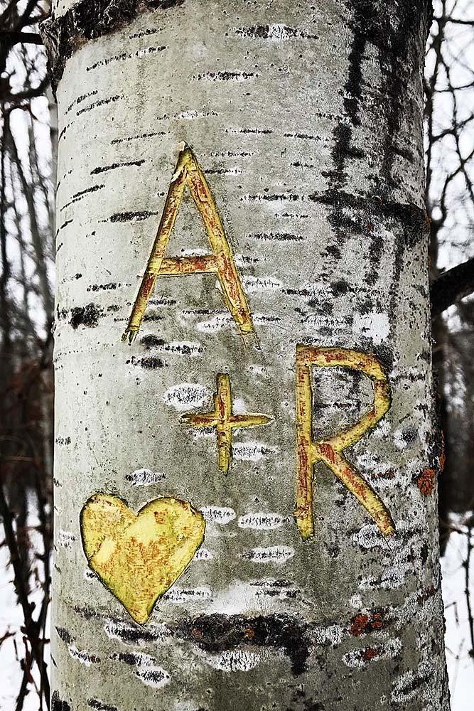 romantic ways to propose tree carving proposal