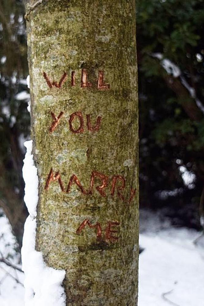 romantic ways to propose tree park proposal carving