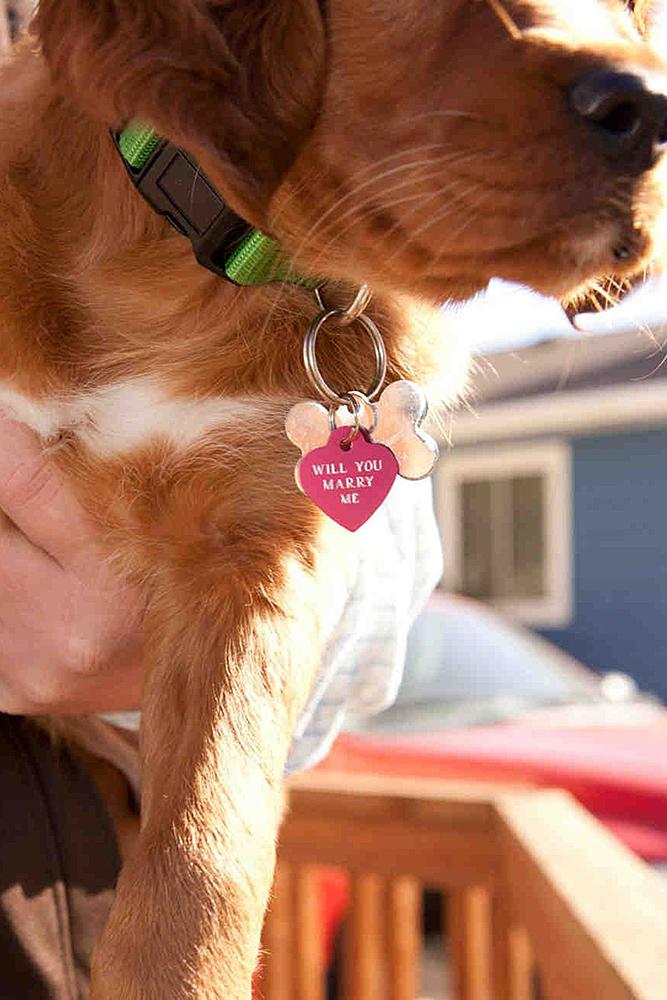 wedding proposal ideas puppy with surprise engagement ring