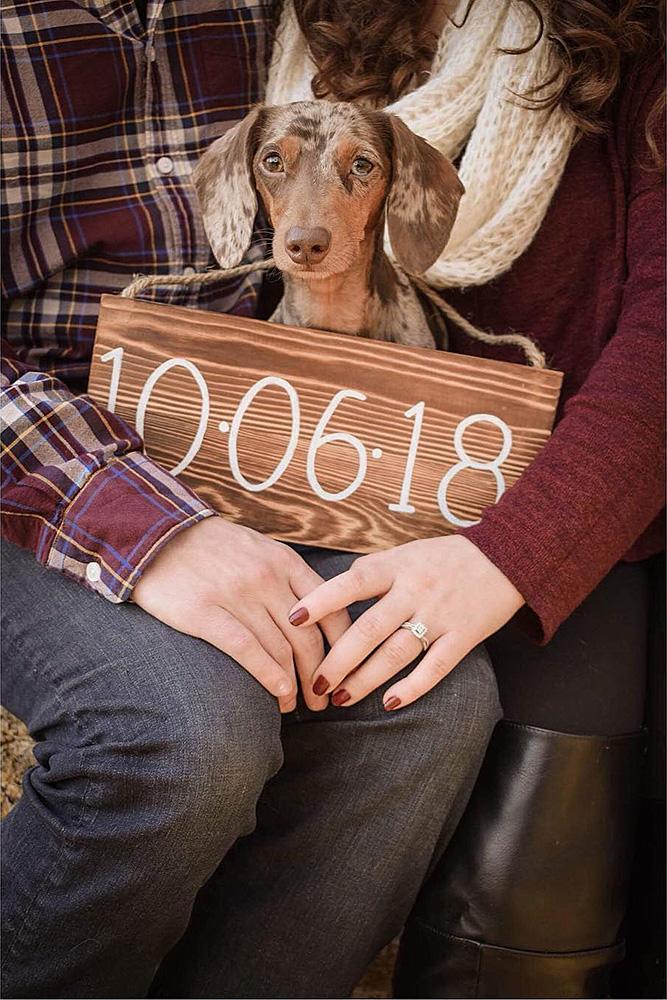save the date ideas dog cute engaged couple