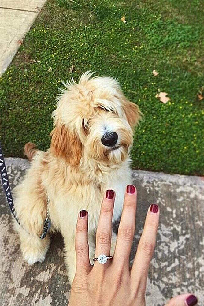 engagement photos dog cute engagement ring