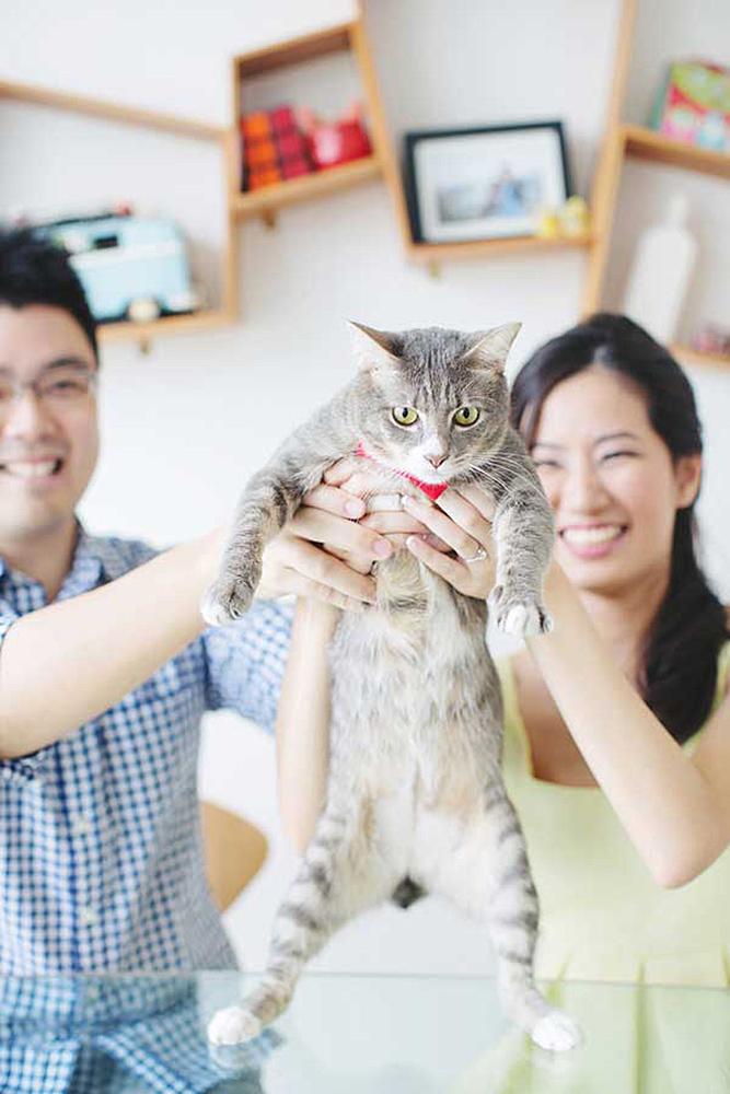 engagement pictures with pets cat with happy couple