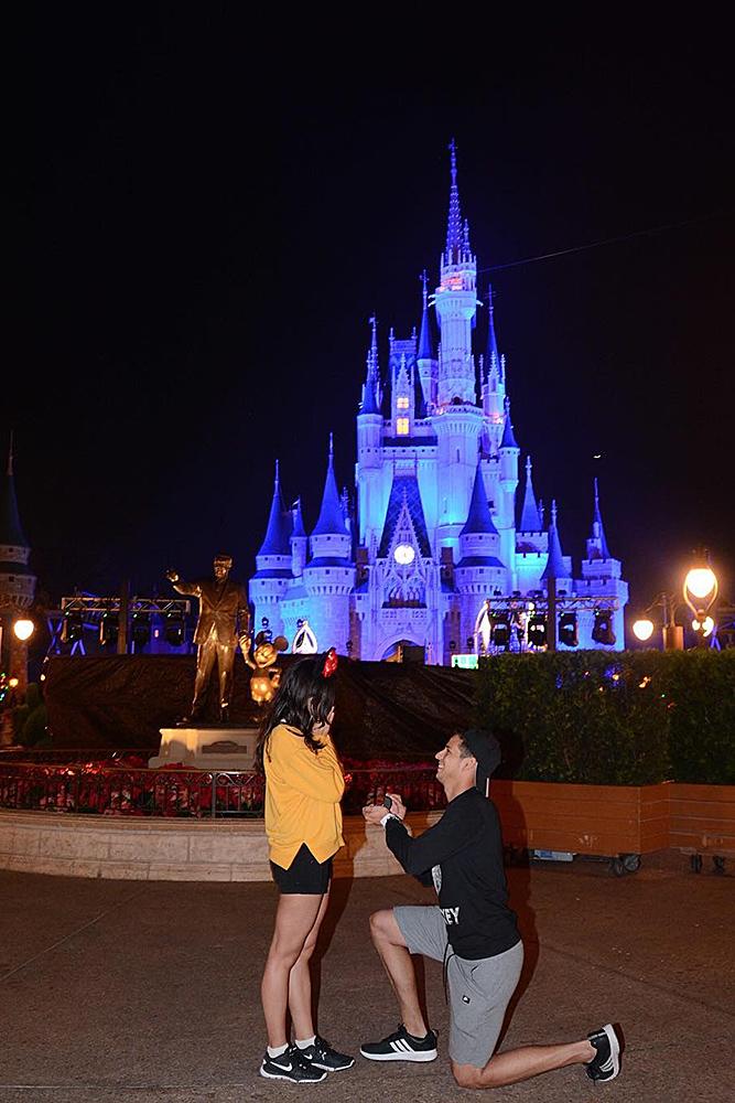 Disney proposal ideas night time propose