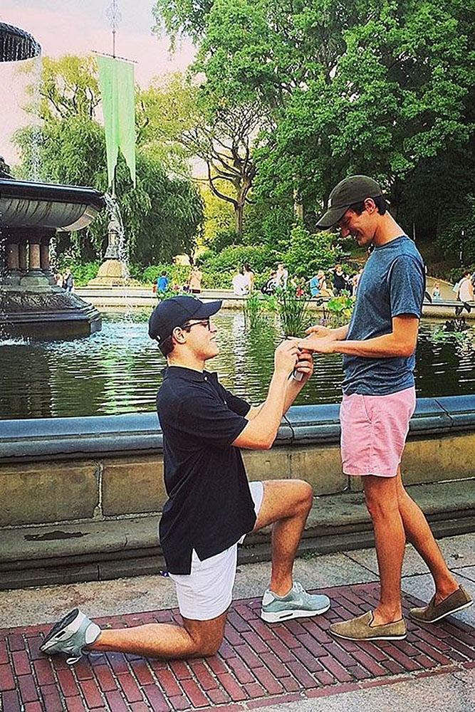 same sex proposals park men couple