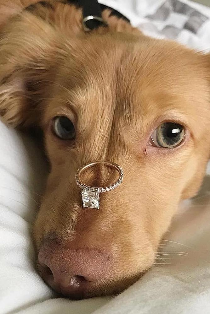 unique engagement ideas ring on the dogs nose cushion cut diamond solitaire classic sparkling