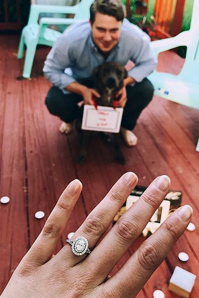 proposals cute proposals with pets sparkling ring
