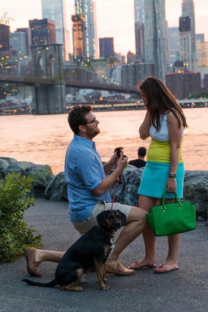 proposals cute proposals with pets unexpected proposal on the street