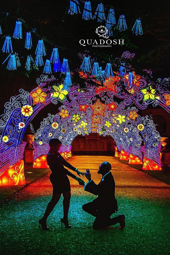 perfect proposals amaizing proposal ideas for inspiration color lights