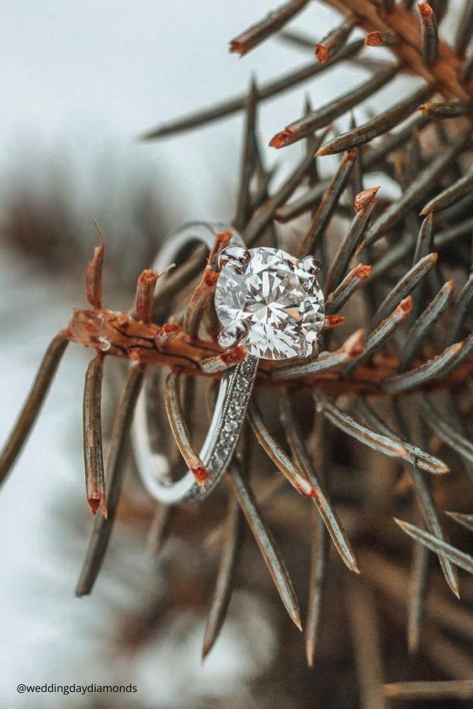 new year engagement photos engagement ring sitting on top of a tree branch weddingdaydiamonds (2)