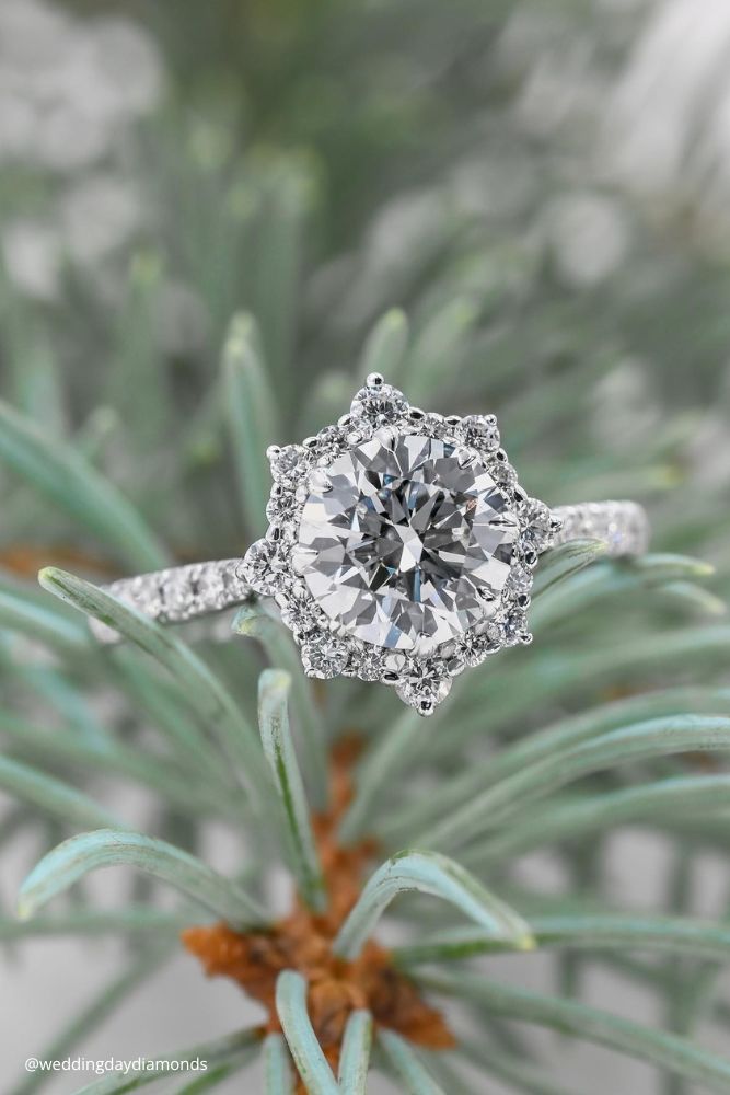 new year engagement photos engagement ring sitting on top of a tree branch weddingdaydiamonds (3)