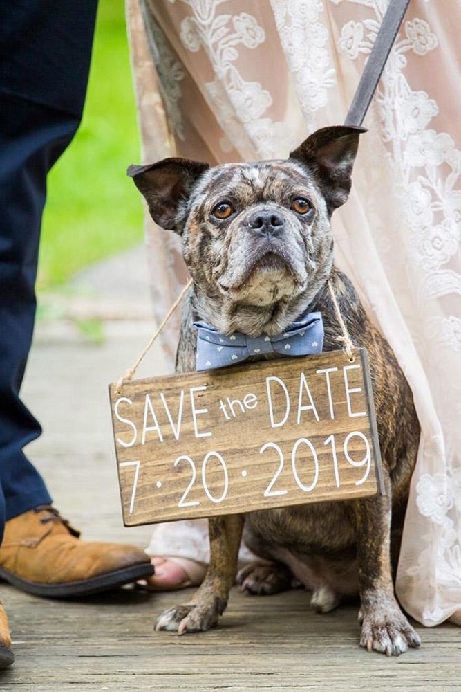 save the date ideas proposal ideas engagement photos best save the date ideas romantic proposals
