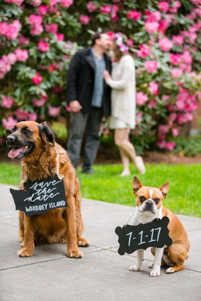 save the date ideas save the proposal date engagement photo ideas best proposal ideas marriage proposal with pets