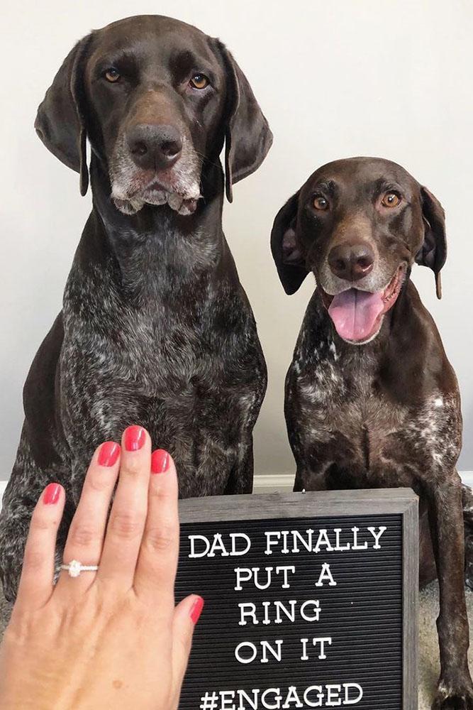 Engagement Announcement Ideas With Dogs,How To Find An Apartment In Los Angeles