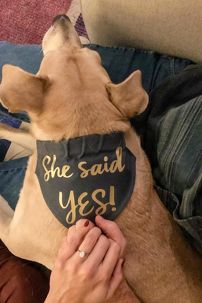 engagement photos engagement announcement best proposal ideas best proposals