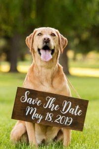 36 Creative And Unique Save The Date Ideas | Oh So Perfect Proposal