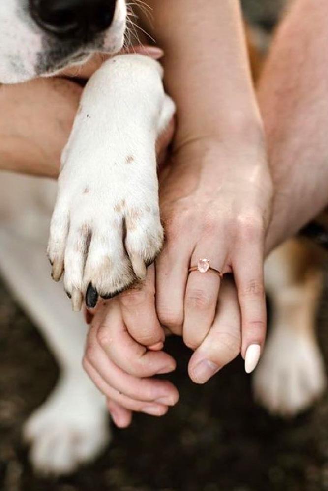 engagement photos marriage proposal engagement announcement with pets