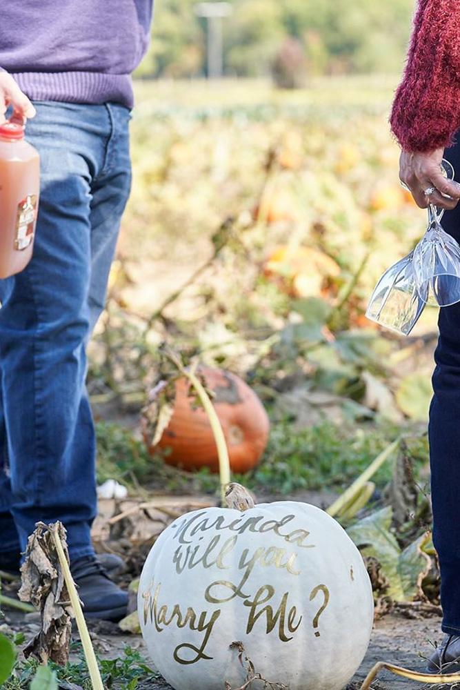 cheap proposal ideas fall proposal ideas unique proposal ideas pumpking proposals
