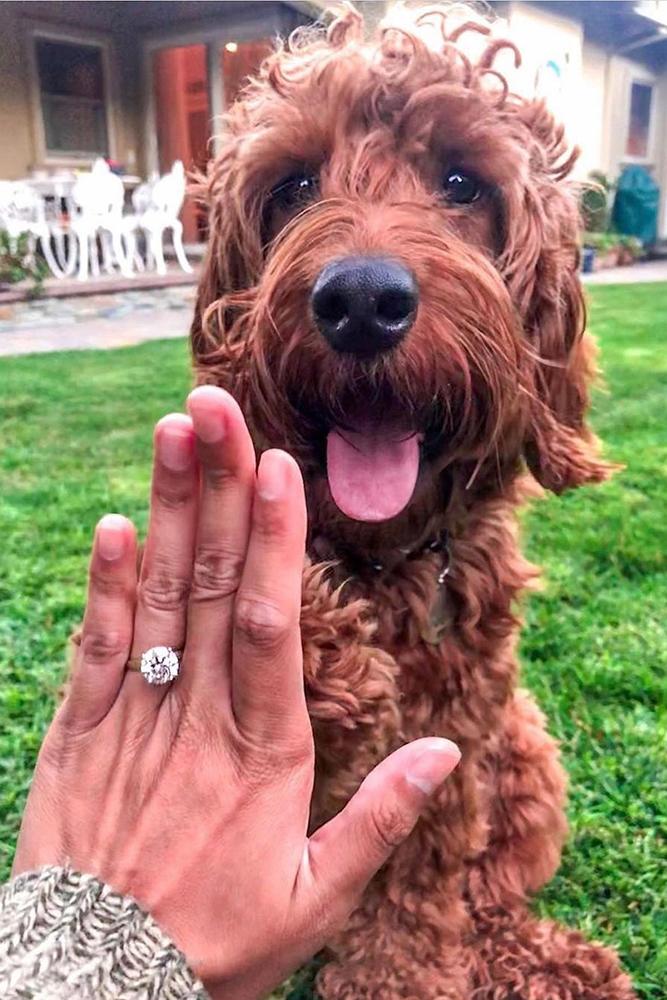 engagement photos creative proposal ideas engagement announcement best proposal ideas