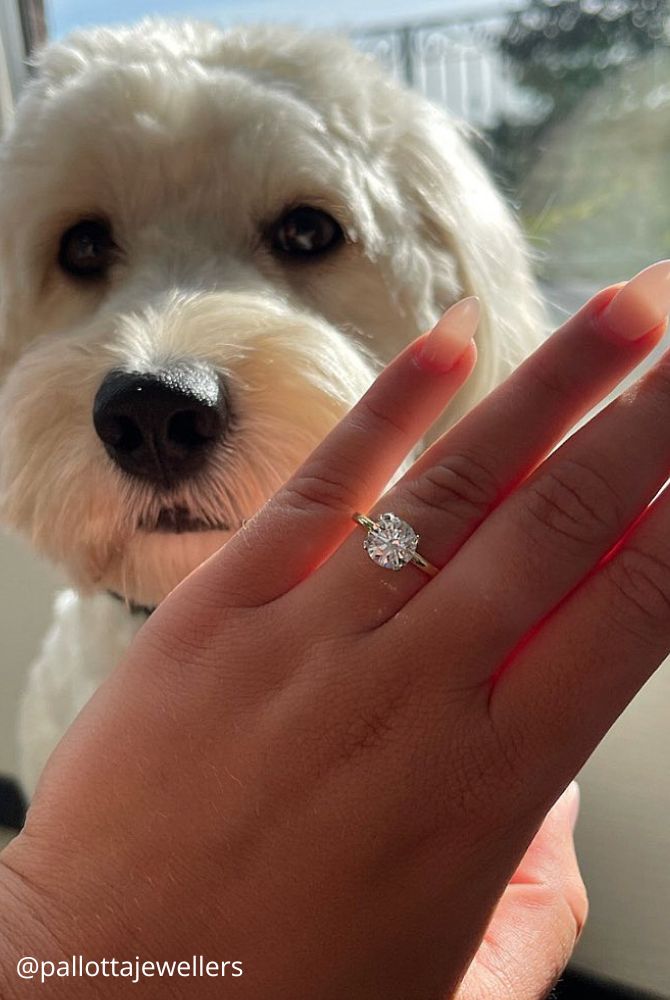 engagement photos creative photo with a ring on the hand around a cute dog pallottajewellers