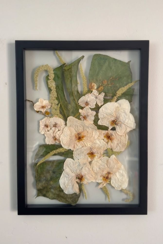 pressed flowers black frame